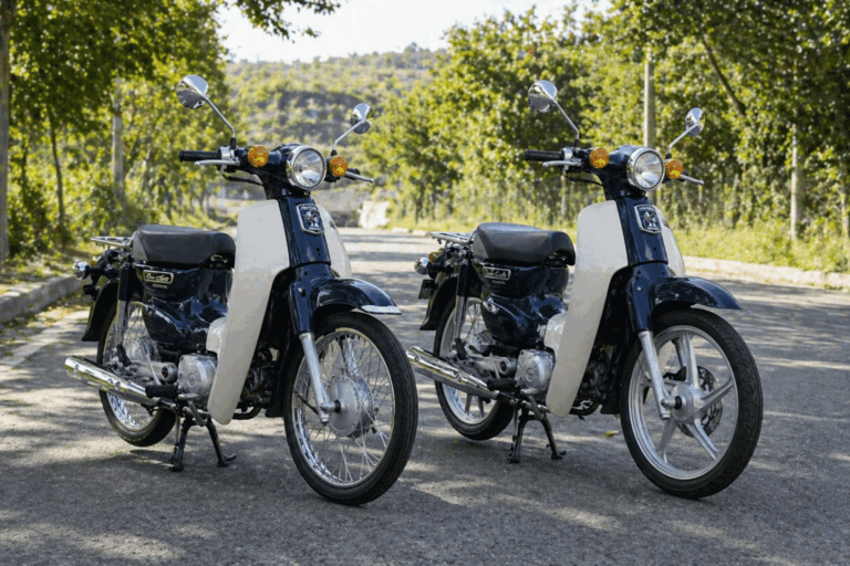 Two Honda Super Cubs parked side by side on a tree-lined road showing spoke wheel and cast wheel comparison